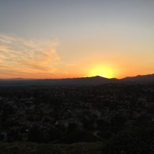 ✨Trade for my wonderful new friend!✨